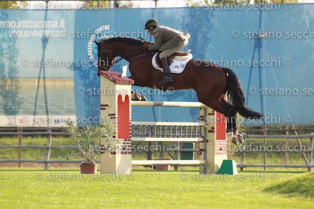 GUARDUCCI_PUPILLO_GIO CAV 2011_SS3_7769.jpg